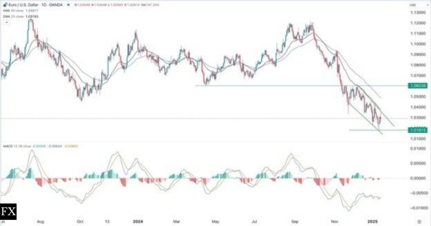 EUR/USD Rebound Signal: Trump Inauguration Impact